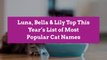 Luna, Bella & Lily Top This Year’s List of Most Popular Cat Names