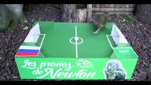 2018 Dünya Kupasının kahini Newton, açılış maçı için tahminde bulundu