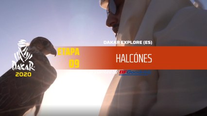 Dakar 2020 - Etapa 9 - Halcónes