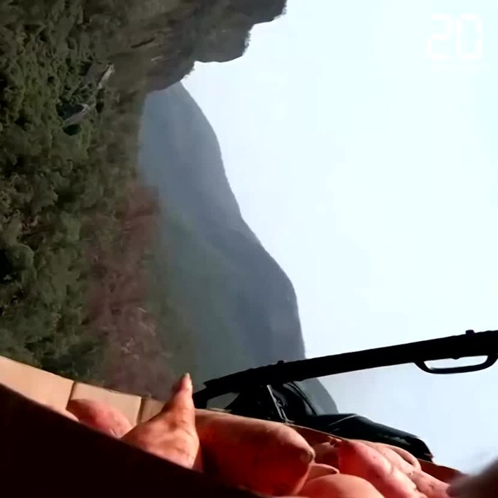 Australie: Des carottes jetées par hélicoptère pour sauver les wallabies