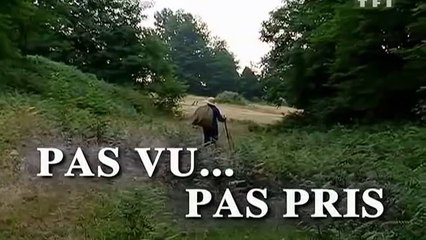 Histoires  Naturelles,Pas vu,pas pris