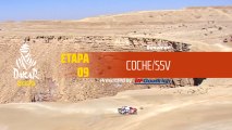 Dakar 2020 - Etapa 9 (Wadi Al-Dawasir / Haradh) - Resumen Coche/SSV