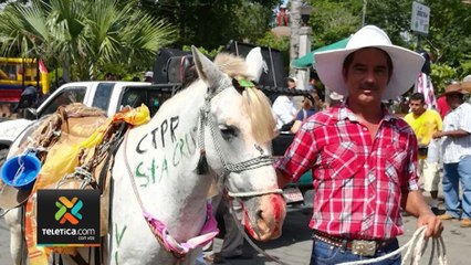 tn7-fiestas-santa-cruz-140120