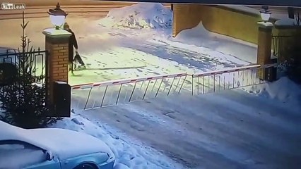 Il tente de sauter cette barrière... et se rate complètement