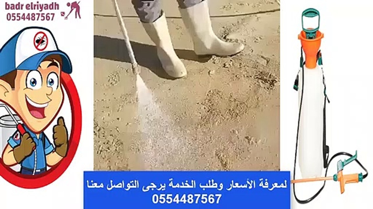 شركة مكافحة النمل الابيض بالرياض تقدم اسعار تنافسية بدر الرياض | 0555413462