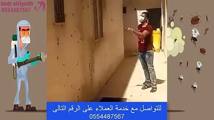شركة مكافحة الصراصير والحشرات المنزلية بدر الرياض | 0555413462