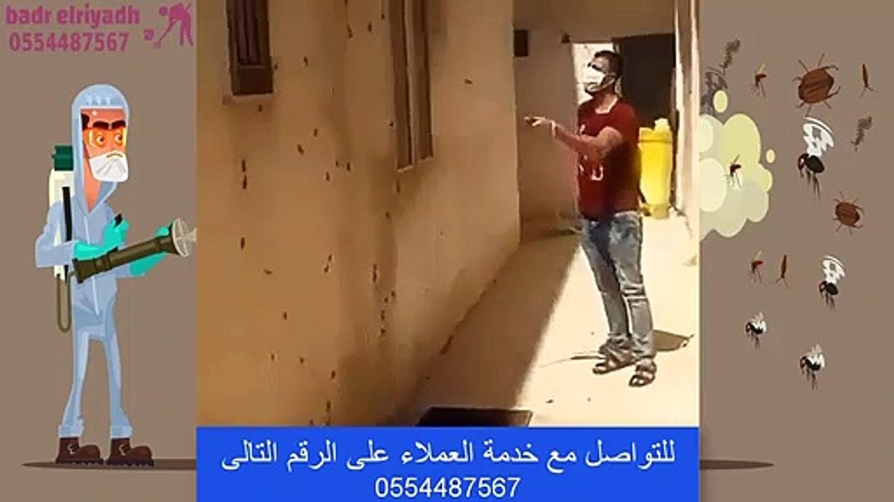 شركة مكافحة الصراصير والحشرات المنزلية بدر الرياض | 0555413462