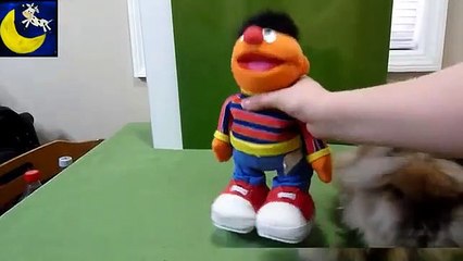 TMX Tickle Me Ernie from Fisher Price Mattel 2006 Review