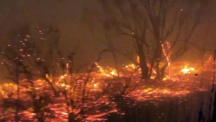 Escaping Flinders Chase Fire Storm