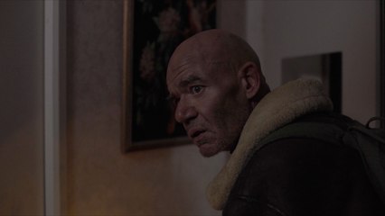 Décembre 2028 : Extinction des abeilles et chaos 🐝