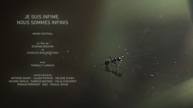 Je suis infime. Nous sommes infinis