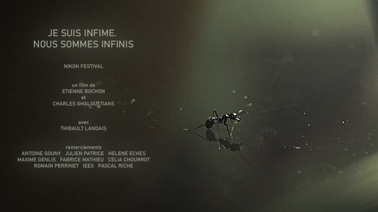 Je suis infime. Nous sommes infinis