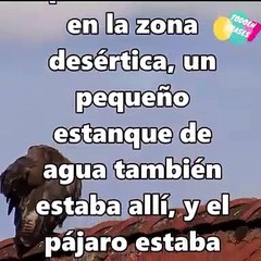 Gracias Dios por Todo