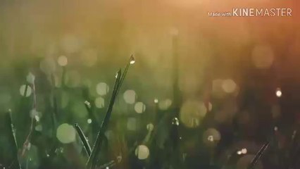 WA.0812 2770 056  (T-SEL) // Bisnis Waralaba