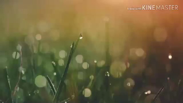 WA.0812 2770 056 (T-SEL) // Bisnis Waralaba