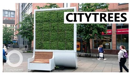 New artificial trees to absorb pollution in London