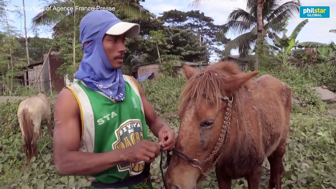 Taal volcano: Villagers rescue horses via boats