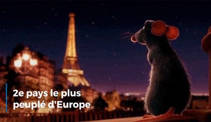 La France compte 67 064 000 habitants