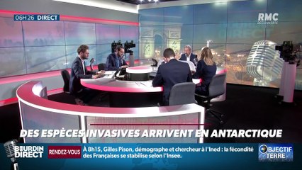 Objectif Terre : Des espèces invasives arrivent en Antarctique - 15/01