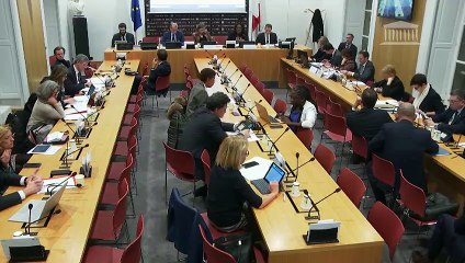 Commission des lois : Lutte contre les contenus haineux sur Internet (nouvelle lecture) - Mardi 14 janvier 2020