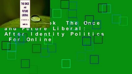 Full E-book  The Once and Future Liberal: After Identity Politics  For Online
