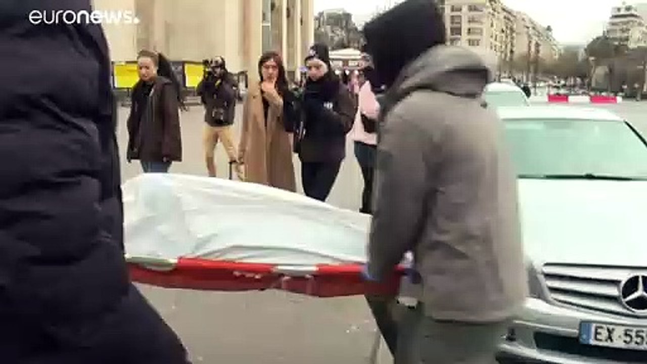 11.300 tote Delfine: "Weil Ihr Fisch auf dem Teller wollt!"