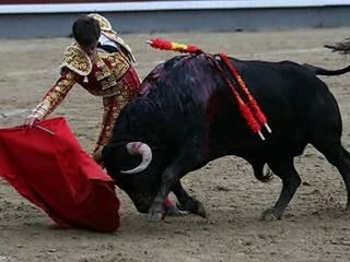 EL JULI CONQUISTA MADRID