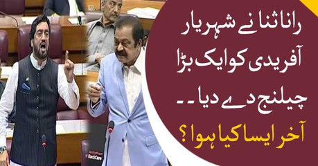 Rana Sanaullah challenges Shehryar Afridi to prove allegations