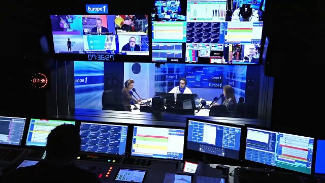 Record de dons pour l'Australie et les koalas : pour soigner et chercher les animaux blessés