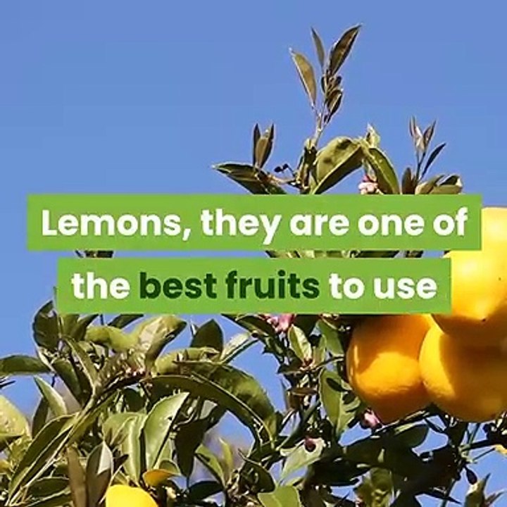lemons-for-asthma-attacks-and-other-illnesses