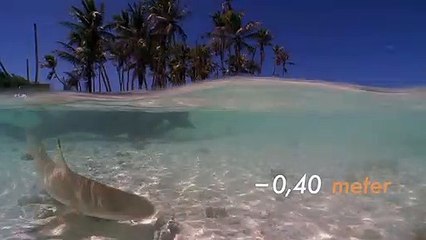 A + ou - 5 mètres de la surface des océans