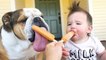 Babies and Dogs Are So Cute  Baby Boo Funny Videos