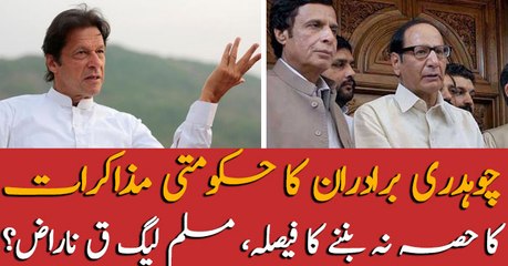 PMLN-Q decides to stay apart from govt?