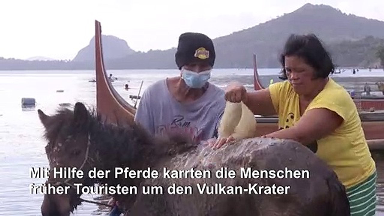 Philippinen: Vulkan-Anwohner retten ihre Pferde