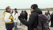 Niedlich, aber gefährlich: Robbenwurfsaison auf Helgoland