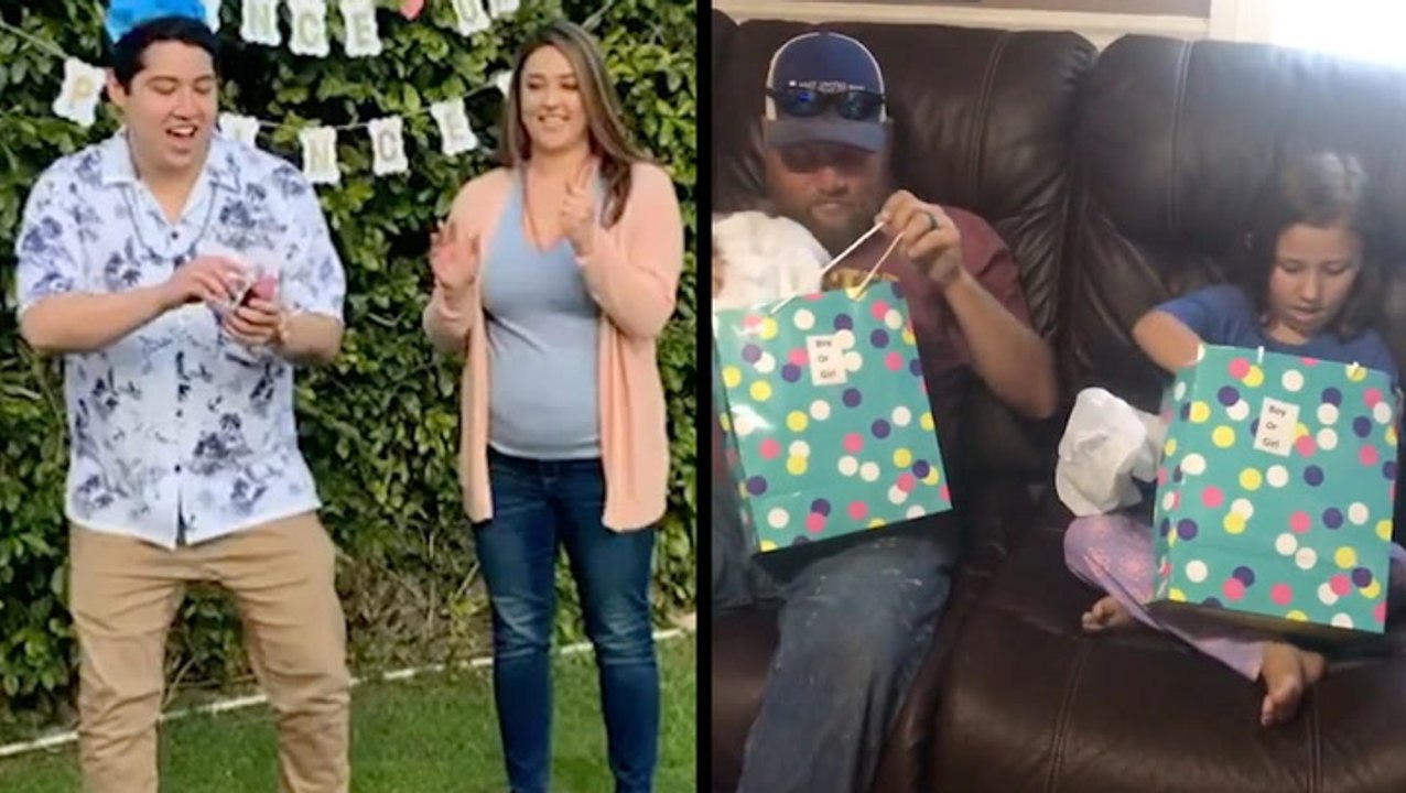 Is It A Boy Or Girl? Let's Find Out!
