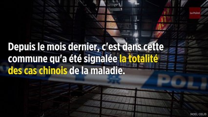 Mystérieux virus en Chine : les chercheurs craignent plus de contaminations