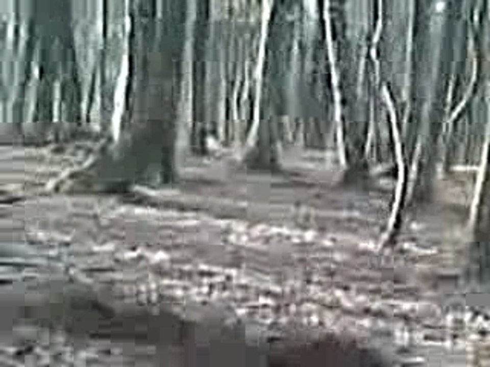 dirt session
