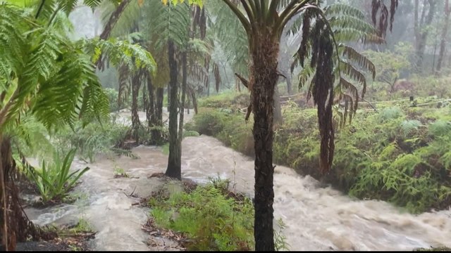 Severe floods in Australia after devastating bushfires
