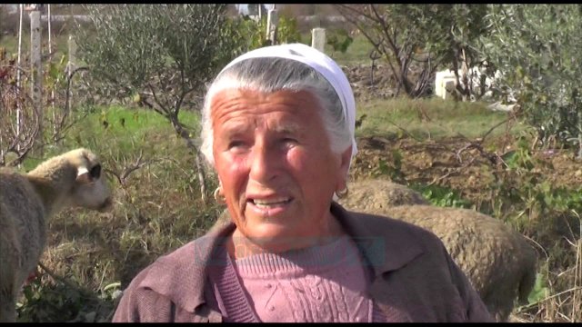 Fermerët hedhin prodhimet - News, Lajme - Vizion Plus