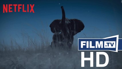 Die Erde bei Nacht Trailer Deutsch German (2020)