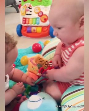 Chubby Baby Twins Playing Together Moments Cute Twins Baby Video