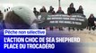 Sea Shepherd exhibe deux cadavres de dauphins à Paris pour dénoncer la pêche non sélective
