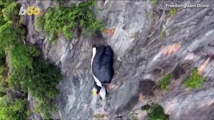 This is the Heartstopping Rescue of a Base Jumper Stuck on the Side of a Cliff
