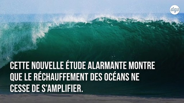 Les températures des océans n'ont jamais été aussi élevées qu'en 2019