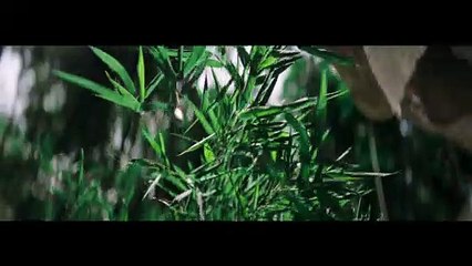 Havas Shanghai - Huawei - Hidden Dragon