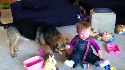 Funny Babies Laughing Hysterically at Dogs Compilation [ZAmZucyzyZM]