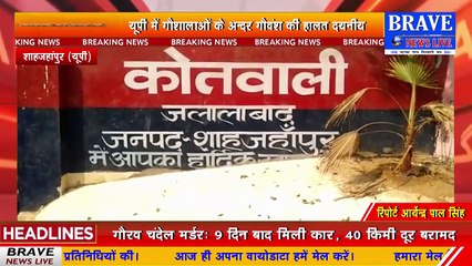 गौशाला में गौवंश को जिंदा खा रहे हैं आवारा कुत्ते, तो वहीं गौवंश का चारा खा रहे संरक्षक | BRAVE NEWS LIVE