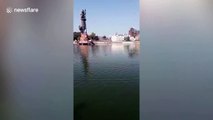 Courageous man plunges into lake to save drowning pigeon in western India