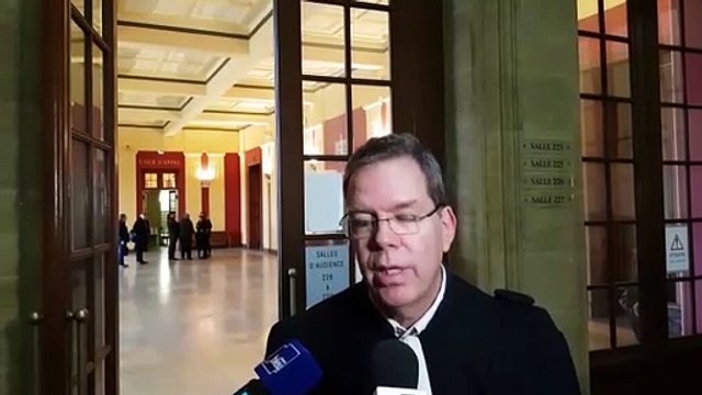 La cour d'appel de Metz pour le procés Greenpeace allège la peine des militants